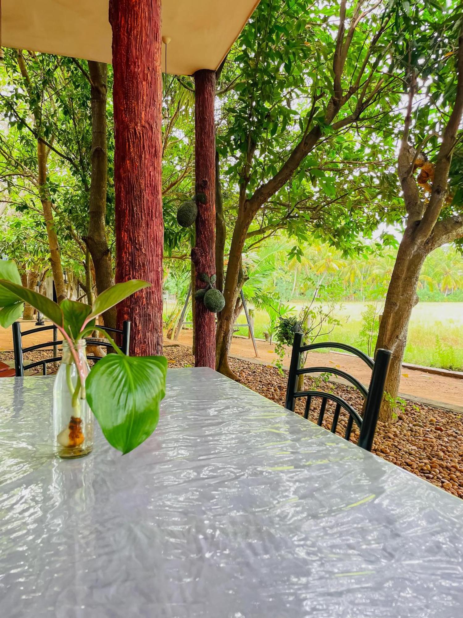 V Cabanas & Yala Safari Place Tissamaharama Luaran gambar