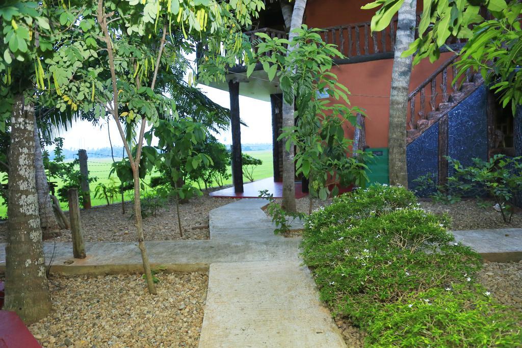 V Cabanas & Yala Safari Place Tissamaharama Luaran gambar