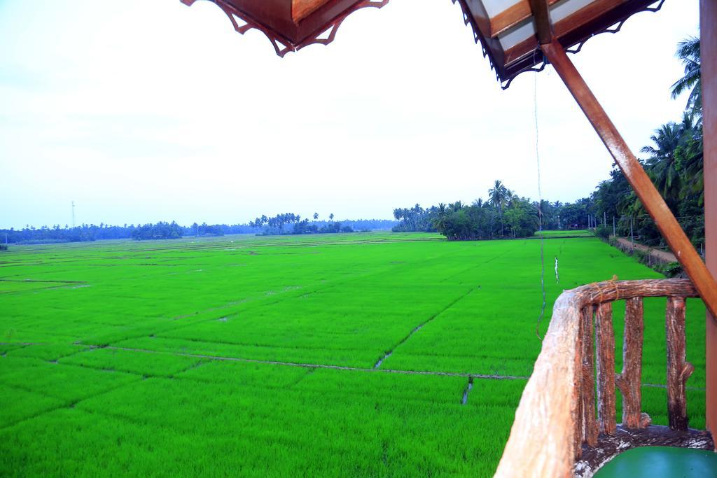 V Cabanas & Yala Safari Place Tissamaharama Luaran gambar