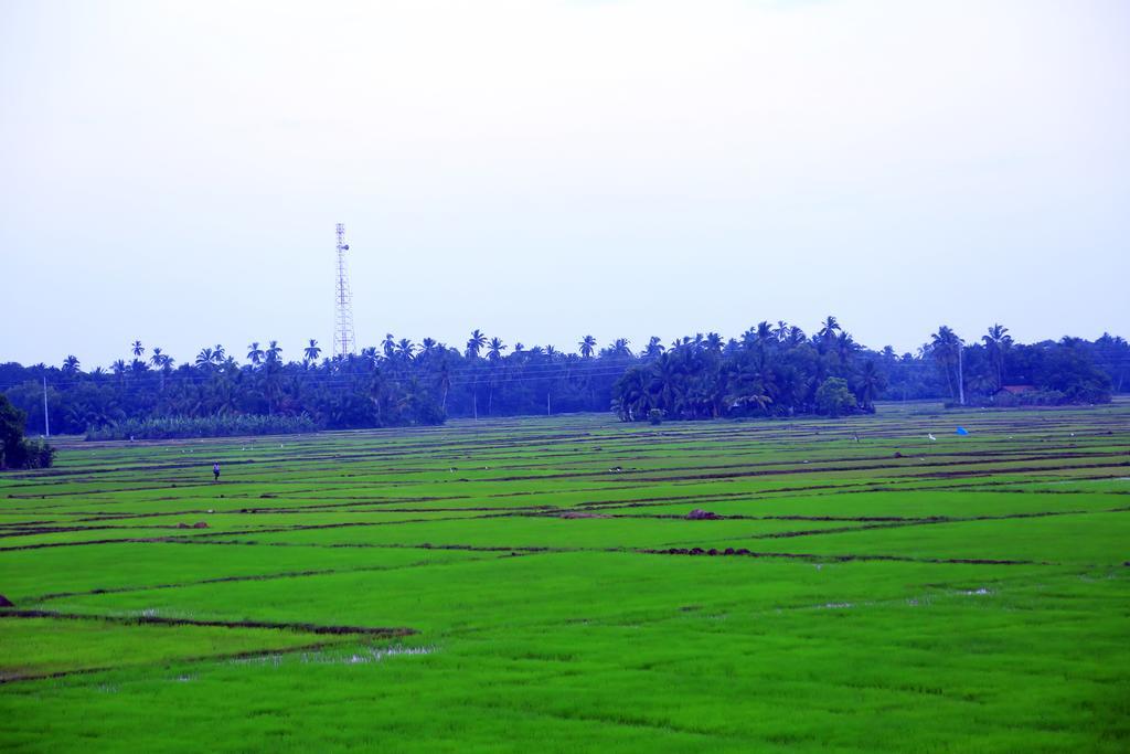 V Cabanas & Yala Safari Place Tissamaharama Luaran gambar