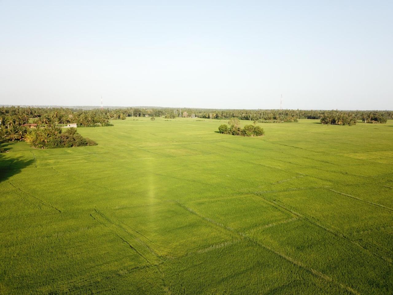 V Cabanas & Yala Safari Place Tissamaharama Luaran gambar